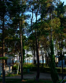RestCoast Villa - Image 3