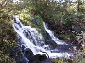 HOUSE OF DREAMS ( BAILLE an AISLING) - Image 4