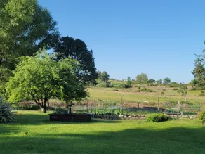 Langel Creek Ranch Guest House - Image 2