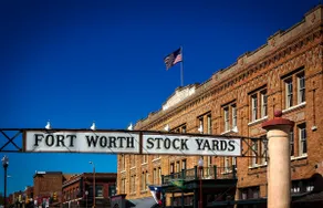 Chic Cultural Dist Apt | Walk to Dickies & Museums - Image 4