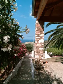 Palm Villa - Image 5