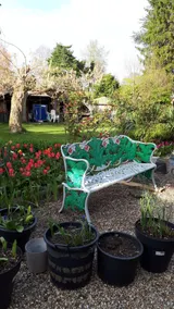 The pink house in wonderland - Image 2
