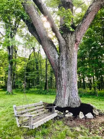 Cozy Orchard Home bike trail, hiking-dog friendly - Image 4