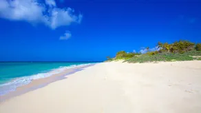 Apartamento a pie de coco.  Una suite de lujo frente al mar con un gran balcón. - Image 3