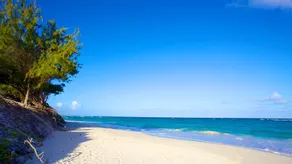 Apartamento a pie de coco.  Una suite de lujo frente al mar con un gran balcón. - Image 4