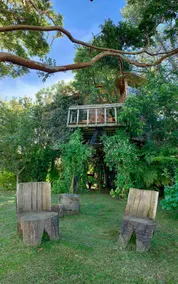 The Tree House of Chiloé - Image 4