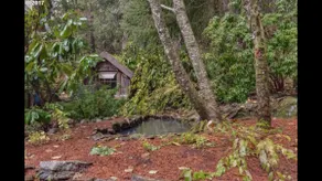 Cedar Creek Sanctuary. 3br on Nat. Forest Land. Outdoor adventure basecamp. - Image 3