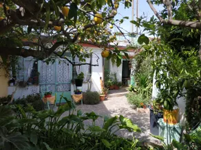 Grandma Assunta's house in Sardara - Image 3