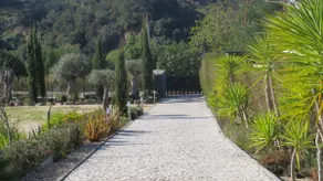 Meco Beach Villa - Image 2