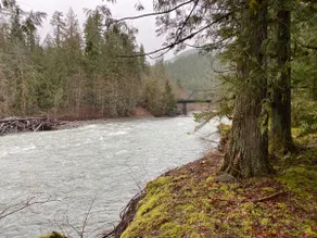Cottage on Cornell Creek - Image 5