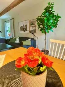 Fresh apartment for two in central Simrishamn - Image 5