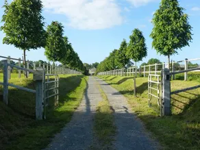 The \"little house\" Haras - Image 2