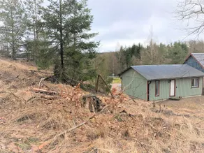 Fresh cabin in forest environment, a detour from the E4 - Image 2
