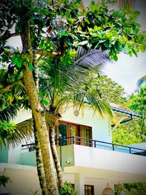 Arlo's Place in Hiriketiya - Image 4