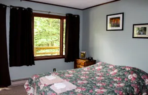 Wolf Lodge - Relaxing Getaway in Northern Michigan - Image 5