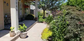 Jan Special! Spacious 2 BR suite in great location - Image 5