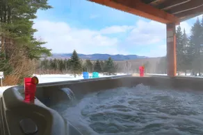 #4 - Serene Outlook Cabin - Image 3