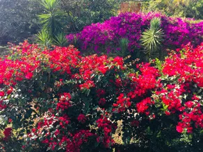 Recanto das Flores - country house - Image 2