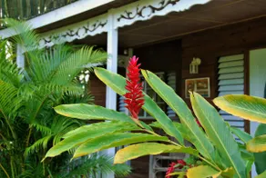 The Villa at Tropical Fantasy - Image 2