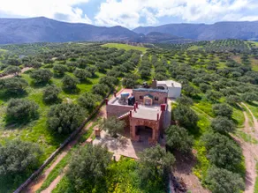 Villa in the Olive Grove - Image 3