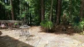 Lake Norman Forest House-Art, Nature & Lake Norman - Image 5