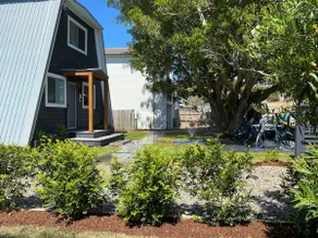 Figtree at Fingal Bay - Image 4