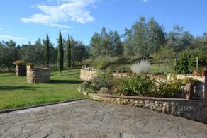 OLIVE TREE APARTMENT - CHIANTI - Image 4