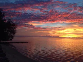 Charming 1BR Guesthouse in Beautiful Moorea - Image 5