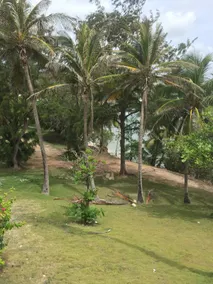 Seaside Apartment, Bathsheba, St. Joseph, Barbados - Image 2