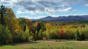 Mimi's Mountain Retreat - Image 3