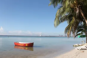 Relax & Cozy 1BR 🌴 ⚡Beach ⛱️ - Image 2