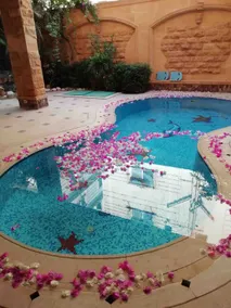 Luxury private Villa with Pool & elegant interiors - Image 3