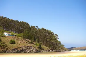 The Cliffs - Bannanas Longboard - Image 5