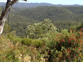 Kurrajong Trails and Cottages - Image 4