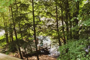 Wolf Lodge - Relaxing Getaway in Northern Michigan - Image 4