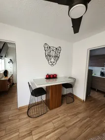 Departamento Puma - Image 4