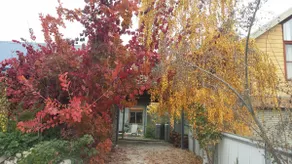 Crepe Myrtle Cottage Beechworth - Image 4