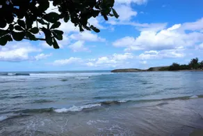 Waves & Chill 5 | Jobos Guest House - Image 5
