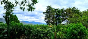 Vila Silvestre - Image 5