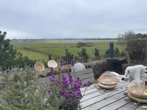 Cabin De Duinweg: directly on the beach, dune and forest - Image 2