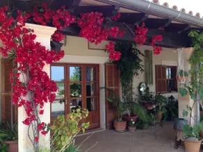 Beautiful country house, ETV/8788 - Image 5