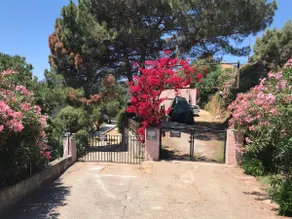 Le Clos des Ribes 2 - Image 2