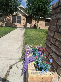 My House - Image 2