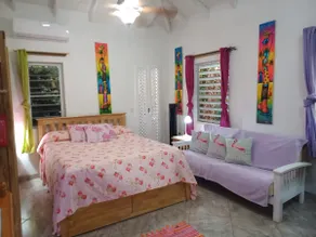 PINKSHACK STUDIO COTTAGE IN JUNGLE THEMED PATIO GARDEN - Image 5