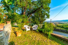 La Casa delle Rose, immersa nel verde - Image 5