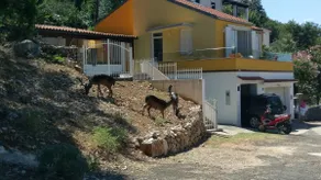 Tramuntana Holiday Home **** - Image 4