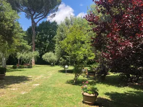 Casa Capanni alla Fila - Image 4