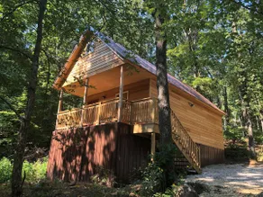 Farmer themed cozy cabin in the woods - Image 5