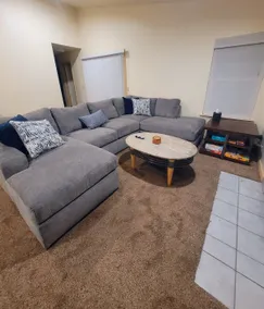 The Comfy Lemon - Image 5