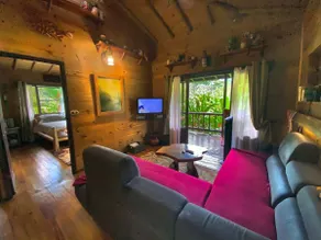 200Mbps fiber optic- La Fortuna - Arenal Volcano - 2 Bedroom cabin AMAZING view! - Image 3